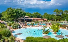 Petit Coin De Paradis